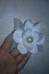     
: IMAG1995.jpg
: 5
:	76.6 
ID:	8584476