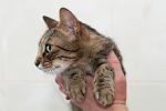     
: DSC_1714.jpg
: 4
:	70.4 
ID:	8586769