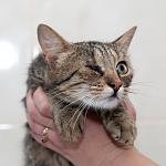     
: DSC_1712.jpg
: 5
:	85.5 
ID:	8586771
