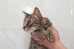     
: DSC_1722.jpg
: 8
:	68.8 
ID:	8586834
