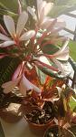     
: WP_20140821_001.jpg
: 10
:	77.8 
ID:	8586861