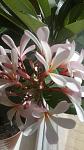     
: WP_20140823_006.jpg
: 9
:	67.7 
ID:	8586867