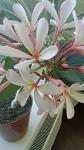    
: WP_20140823_003.jpg
: 11
:	64.2 
ID:	8586868