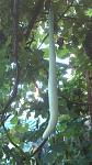     
: DSC_0975.jpg
: 38
:	105.1 
ID:	8587123