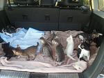     
: 20140823_190920.jpg
: 12
:	117.8 
ID:	8588304