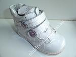     
: DSC01600.JPG
: 14
:	220.7 
ID:	8590453