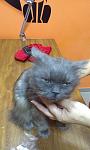     
: IMAG0284.jpg
: 13
:	68.7 
ID:	8597128