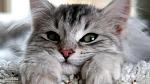     
: P9zy9t2clYw.jpg
: 10
:	43.7 
ID:	8597953