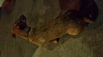     
: 20140825_221150.jpg
: 27
:	81.1 
ID:	8598014