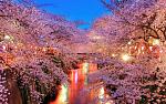     
: 7477405-R3L8T8D-600-98875149_1920h1200101024x640.jpg
: 9
:	150.8 
ID:	8598105