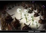     
: 0ULYCRvrrfc.jpg
: 17
:	56.9 
ID:	8598157