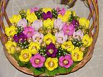     
: DSC06837.jpg
: 10
:	216.0 
ID:	8598337