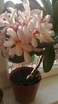     
: WP_20140825_001.jpg
: 15
:	57.7 
ID:	8601430