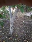     
: 20140824_101752.jpg
: 41
:	95.3 
ID:	8601724