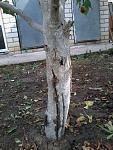     
: 20140824_111512.jpg
: 38
:	101.7 
ID:	8601729