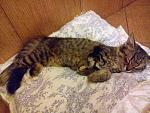     
: uploadfromtaptalk1409172156405.jpg
: 32
:	84.4 
ID:	8607841