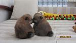     
: IMG_2364.jpg
: 10
:	107.4 
ID:	8608991