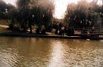     
: Untitled-3.jpg
: 717
:	66.6 
ID:	8610590