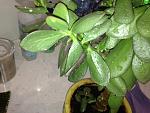     
: image.jpg
: 32
:	141.5 
ID:	8611341