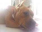     
: 20140826_180359.jpg
: 7
:	74.8 
ID:	8611985