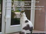     
: 339453.jpg
: 11
:	62.6 
ID:	8612085