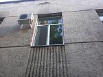     
: 2014-08-28_19-18-36_563.jpg
: 46
:	210.0 
ID:	8614954