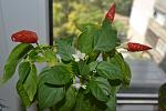     
: DSC_0050.jpg
: 14
:	98.9 
ID:	8615206
