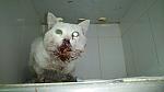     
: DSC_0283.jpg
: 135
:	75.3 
ID:	8617565