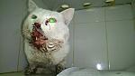     
: DSC_0288.jpg
: 442
:	84.7 
ID:	8618244