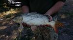     
: 20140829_153030.jpg
: 13
:	129.3 
ID:	8619028