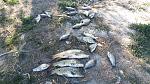     
: 20140829_170613.jpg
: 16
:	279.9 
ID:	8619030