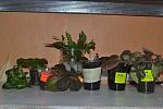     
: DSC_0057.jpg
: 20
:	147.1 
ID:	8621019