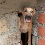     
: DSC_0169.jpg
: 9
:	110.5 
ID:	8623350