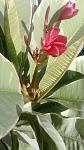     
: WP_20140830_002.jpg
: 15
:	71.4 
ID:	8623776