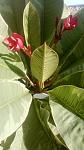     
: WP_20140830_003.jpg
: 10
:	77.8 
ID:	8623785