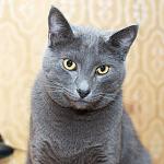     
: франц2.jpg
: 12
:	181.1 
ID:	8624012