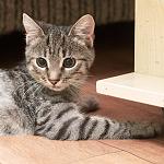     
: DSC_0481.jpg
: 7
:	161.8 
ID:	8624690