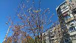     
: IMAG0982.jpg
: 59
:	262.3 
ID:	8626272