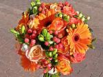     
: images.jpg
: 35
:	12.2 
ID:	8629293