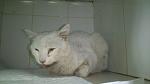     
: DSC_0307.jpg
: 9
:	68.0 
ID:	8630151