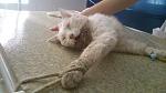     
: DSC_0309.jpg
: 7
:	84.8 
ID:	8630153