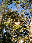     
: 2014830184225.jpg
: 72
:	253.8 
ID:	8630851