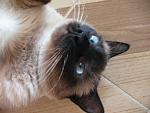     
: IMG_5182.jpg
: 27
:	107.7 
ID:	863102