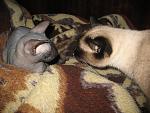     
: IMG_7023.jpg
: 30
:	160.5 
ID:	863106