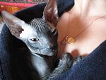     
: IMG_6201.jpg
: 33
:	153.4 
ID:	863108
