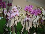     
: DSC06688.jpg
: 24
:	141.9 
ID:	8632899