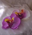     
: DSC_0374.jpg
: 61
:	80.3 
ID:	8633364