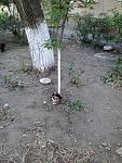     
: 2014-09-02 11.35.58.jpg
: 52
:	160.9 
ID:	8634282