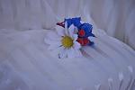     
: DSC_0388.jpg
: 65
:	59.1 
ID:	8635521