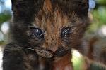     
: DSC_0552.jpg
: 27
:	100.6 
ID:	8638064